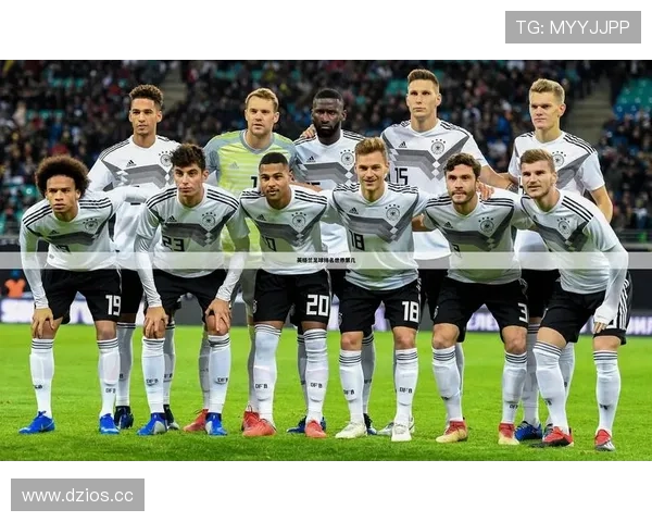 ✅体育直播🏆世界杯直播🏀NBA直播⚽- 广西罗城：“小豚鼠”成致富萌宠- sports